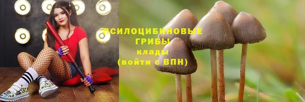 амф Волоколамск
