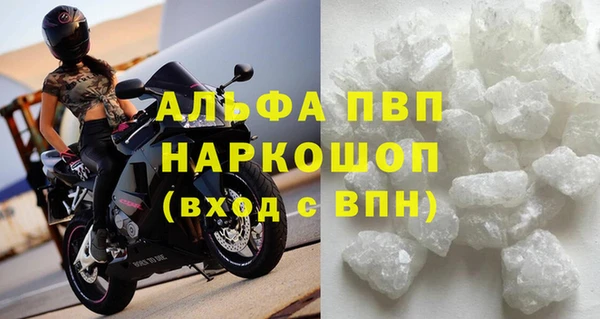 гидра Вяземский